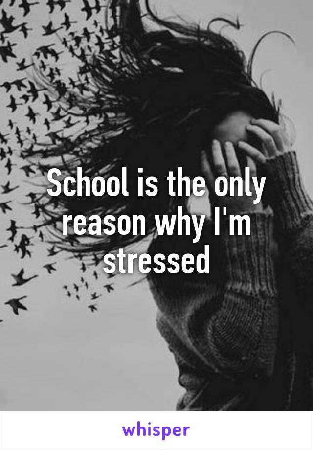 School is the only reason why I'm stressed