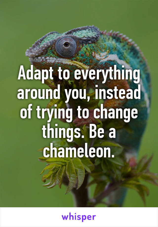 Adapt to everything around you, instead of trying to change things. Be a chameleon.
