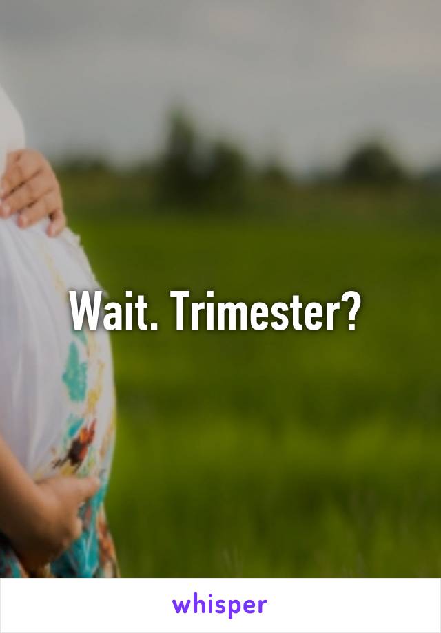 Wait. Trimester? 