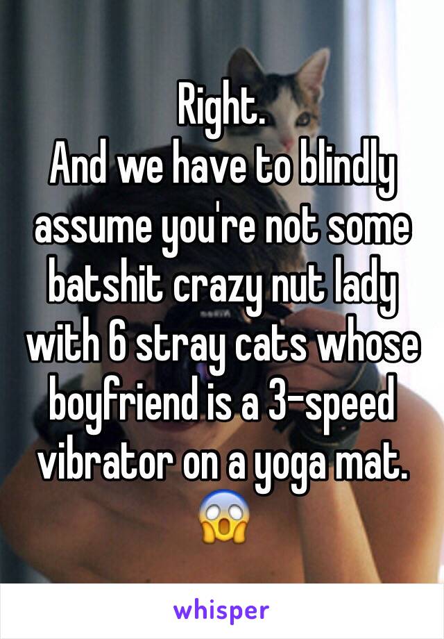 Right. 
And we have to blindly assume you're not some batshit crazy nut lady with 6 stray cats whose boyfriend is a 3-speed vibrator on a yoga mat. 
😱