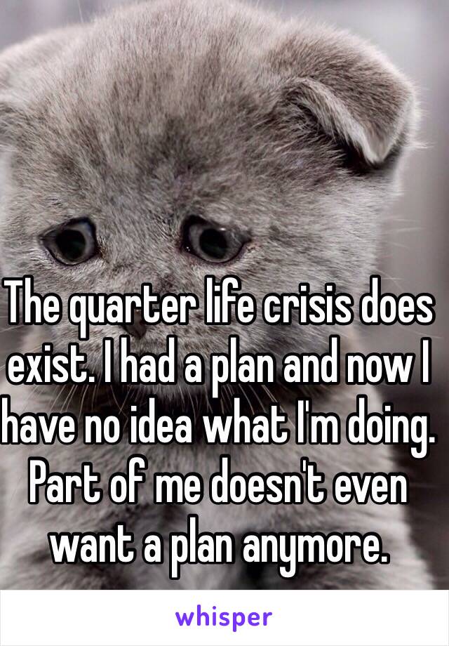 The quarter life crisis does exist. I had a plan and now I have no idea what I'm doing. Part of me doesn't even want a plan anymore. 