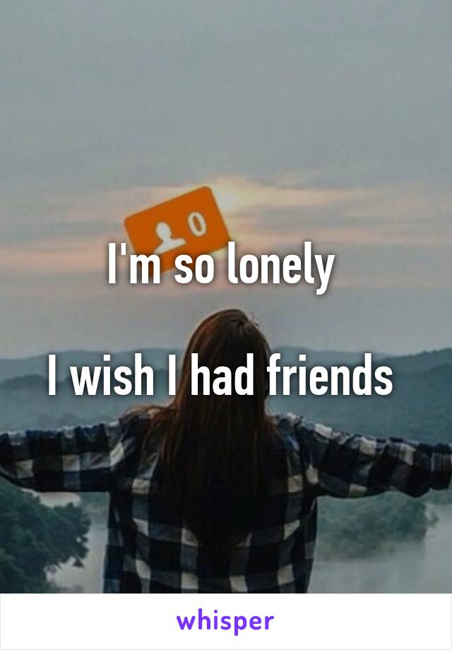 I'm so lonely 

I wish I had friends 