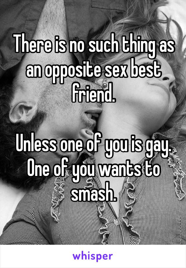 There is no such thing as an opposite sex best friend. 

Unless one of you is gay.
One of you wants to smash. 