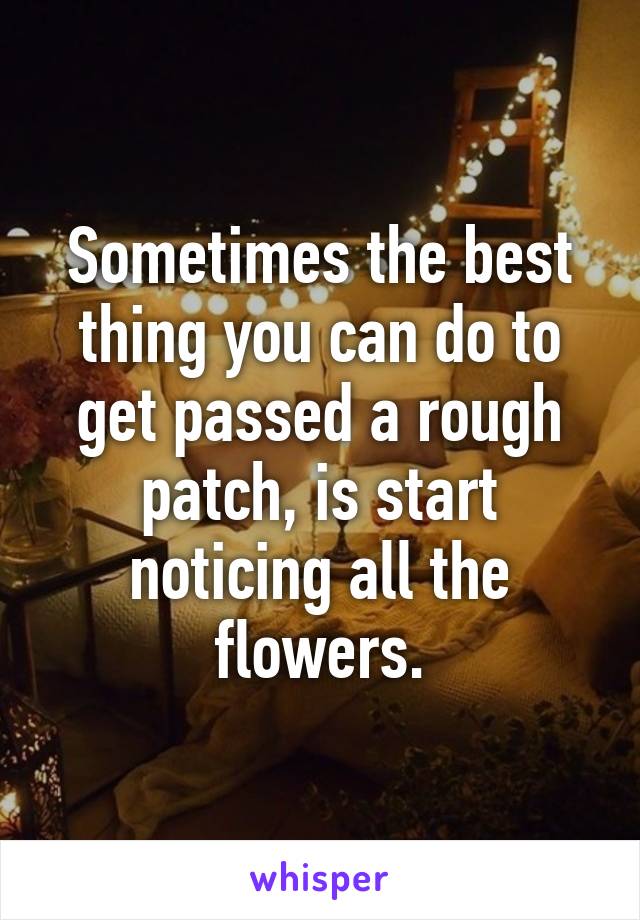 Sometimes the best thing you can do to get passed a rough patch, is start noticing all the flowers.