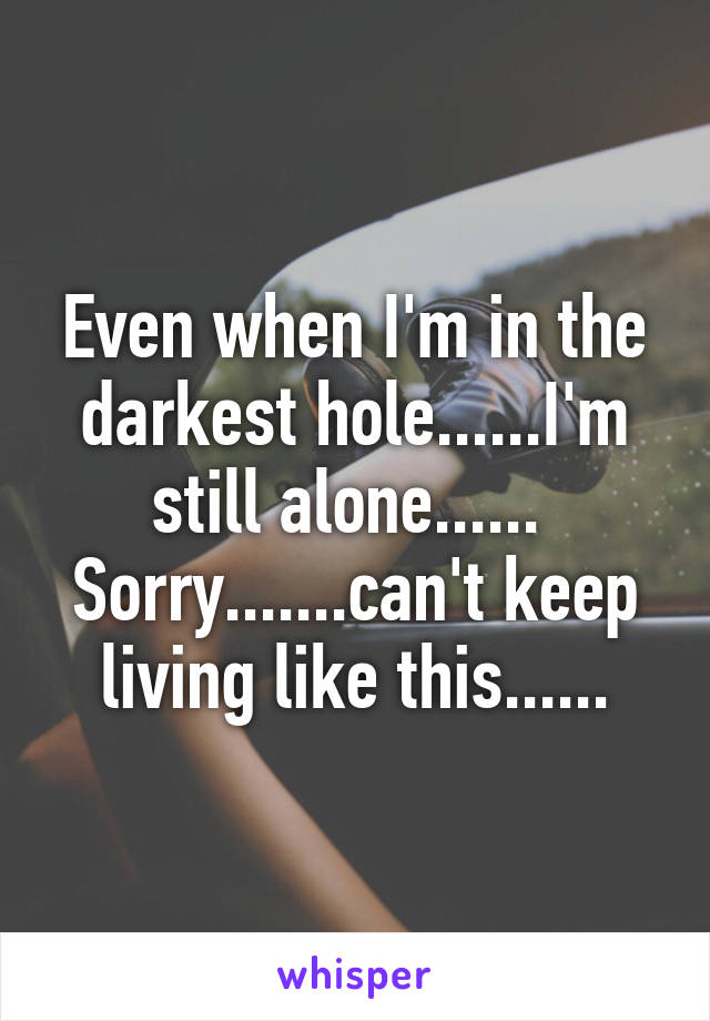 Even when I'm in the darkest hole......I'm still alone...... 
Sorry.......can't keep living like this......