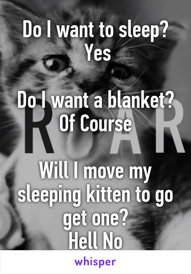 Do I want to sleep?
 Yes

Do I want a blanket?
Of Course

Will I move my sleeping kitten to go get one?
Hell No