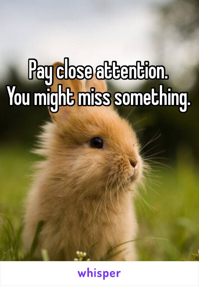 Pay close attention.
You might miss something.