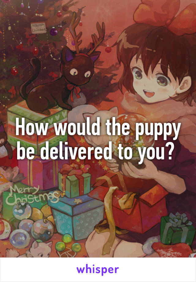 How would the puppy be delivered to you? 