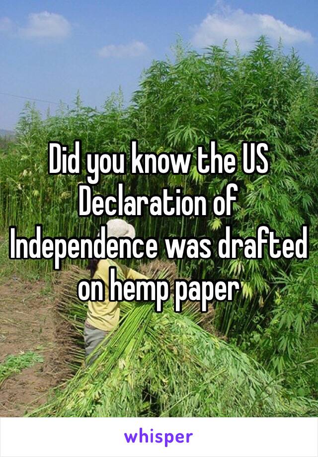 Did you know the US Declaration of Independence was drafted on hemp paper   