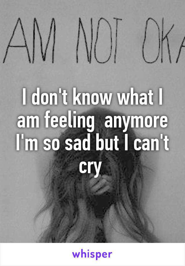 I don't know what I am feeling  anymore I'm so sad but I can't cry 