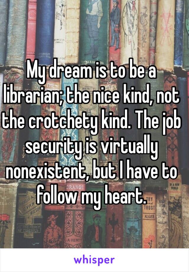 My dream is to be a librarian; the nice kind, not the crotchety kind. The job security is virtually nonexistent, but I have to follow my heart. 