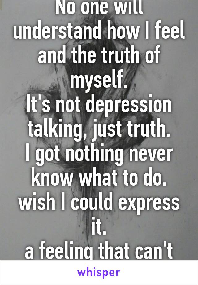 No one will understand how I feel and the truth of myself.
It's not depression talking, just truth.
I got nothing never know what to do.
wish I could express it.
a feeling that can't be put in words