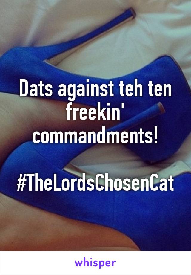 Dats against teh ten freekin' commandments!

#TheLordsChosenCat