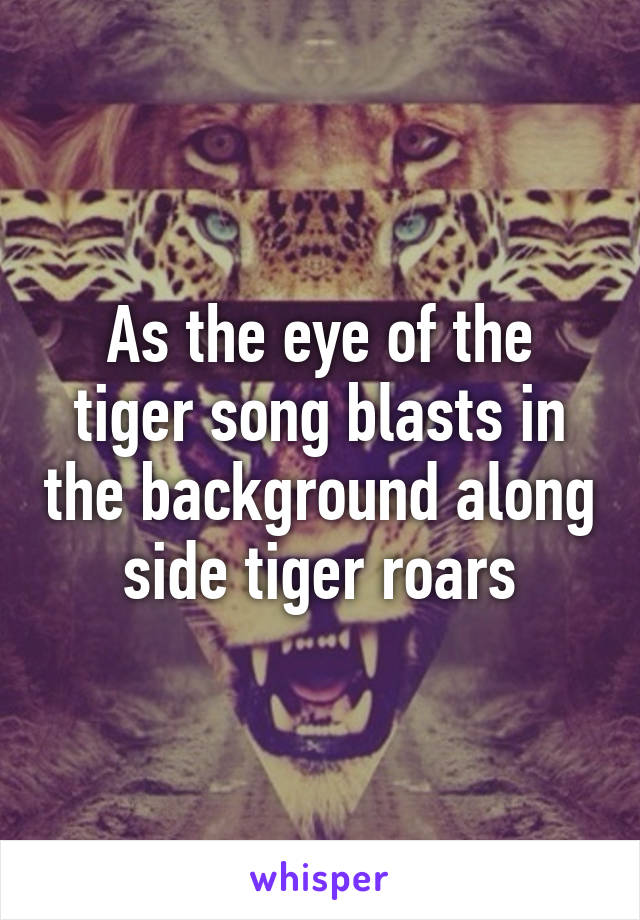 As the eye of the tiger song blasts in the background along side tiger roars