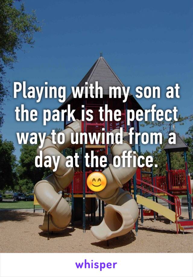 Playing with my son at the park is the perfect way to unwind from a day at the office.
😊