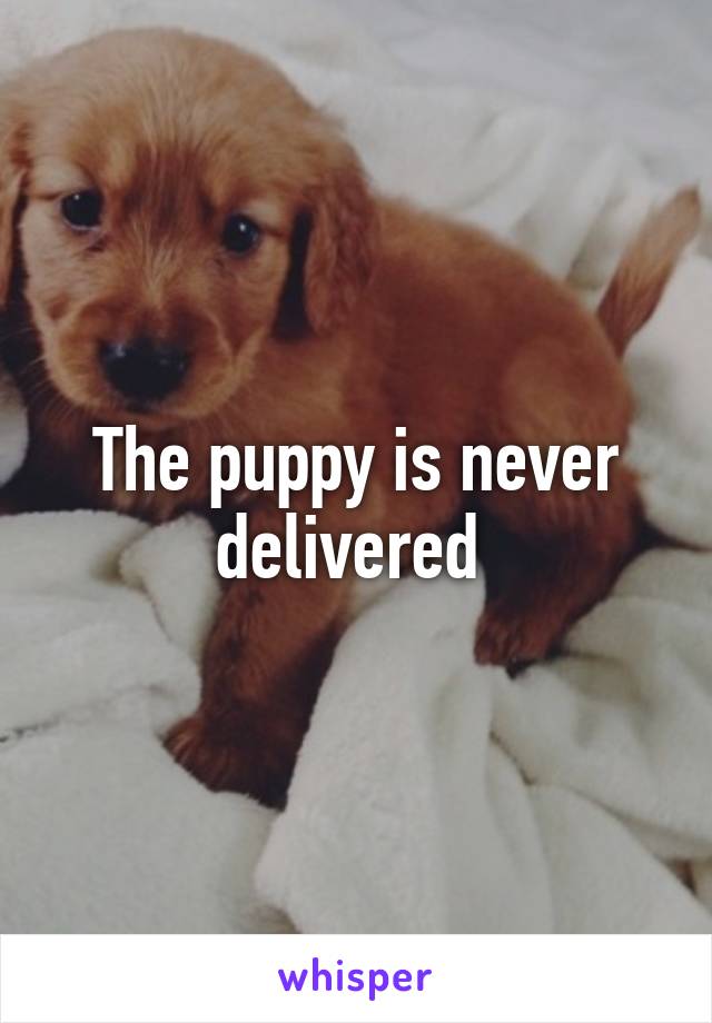The puppy is never delivered 
