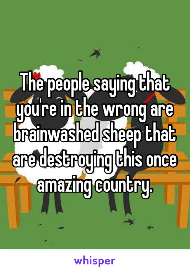 The people saying that you're in the wrong are brainwashed sheep that are destroying this once amazing country. 