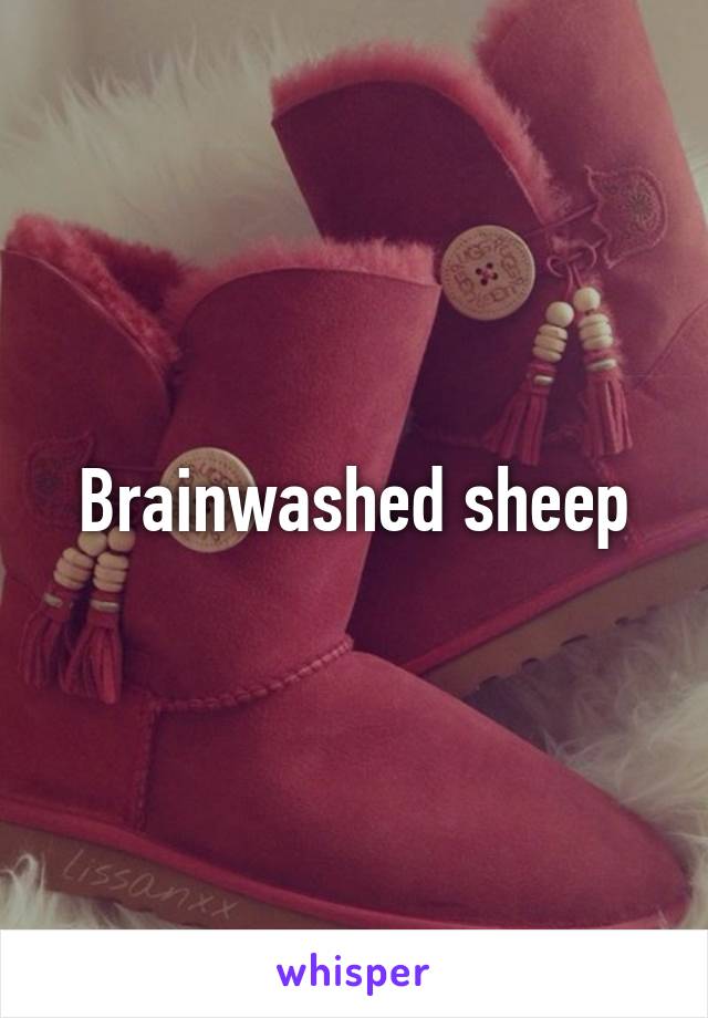 Brainwashed sheep