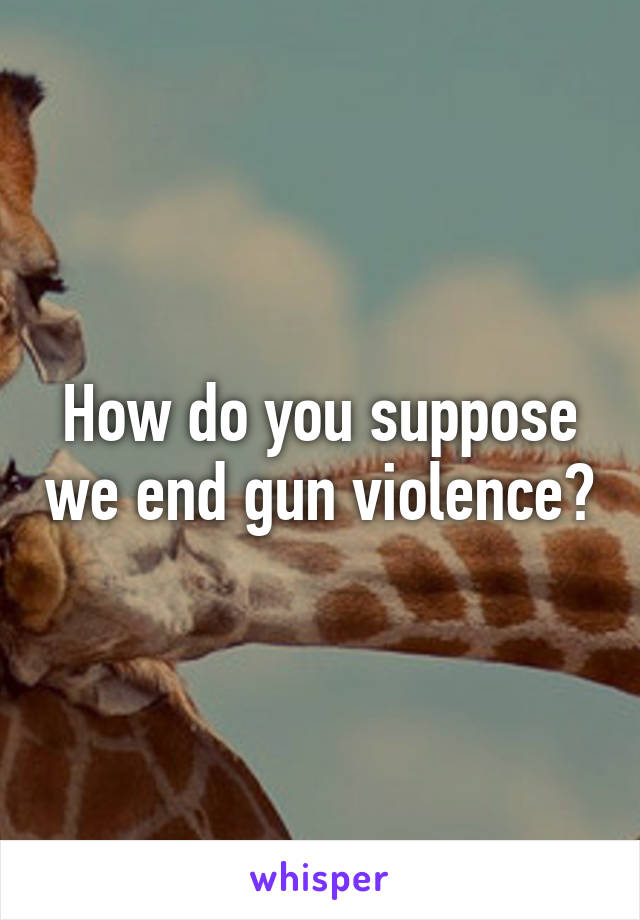 How do you suppose we end gun violence?