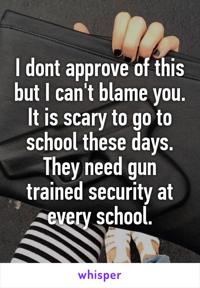 I dont approve of this but I can't blame you. It is scary to go to school these days. They need gun trained security at every school.