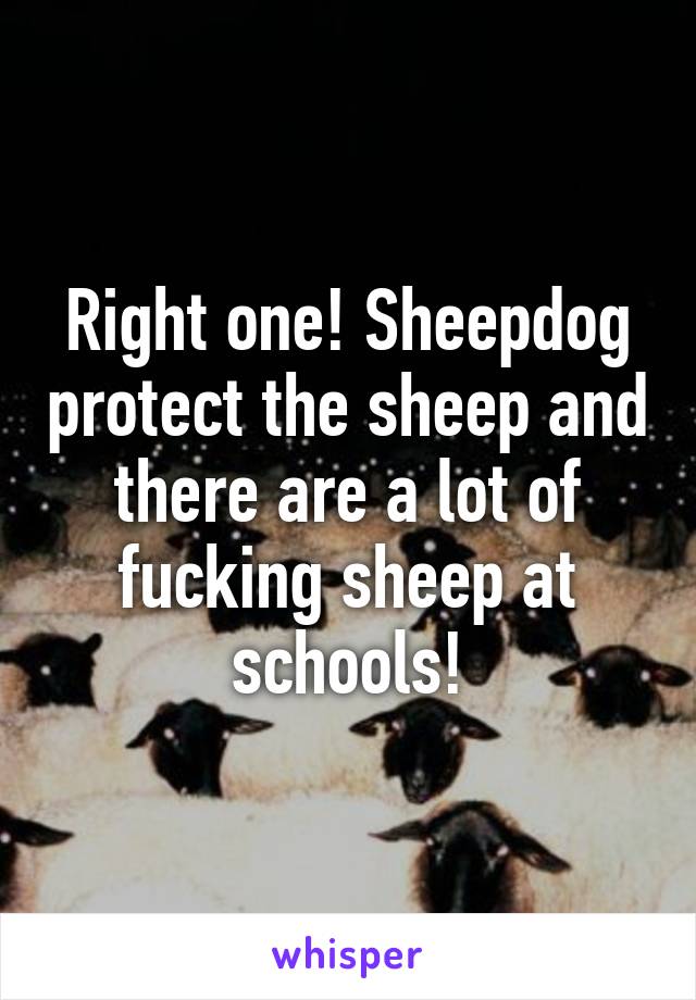 Right one! Sheepdog protect the sheep and there are a lot of fucking sheep at schools!