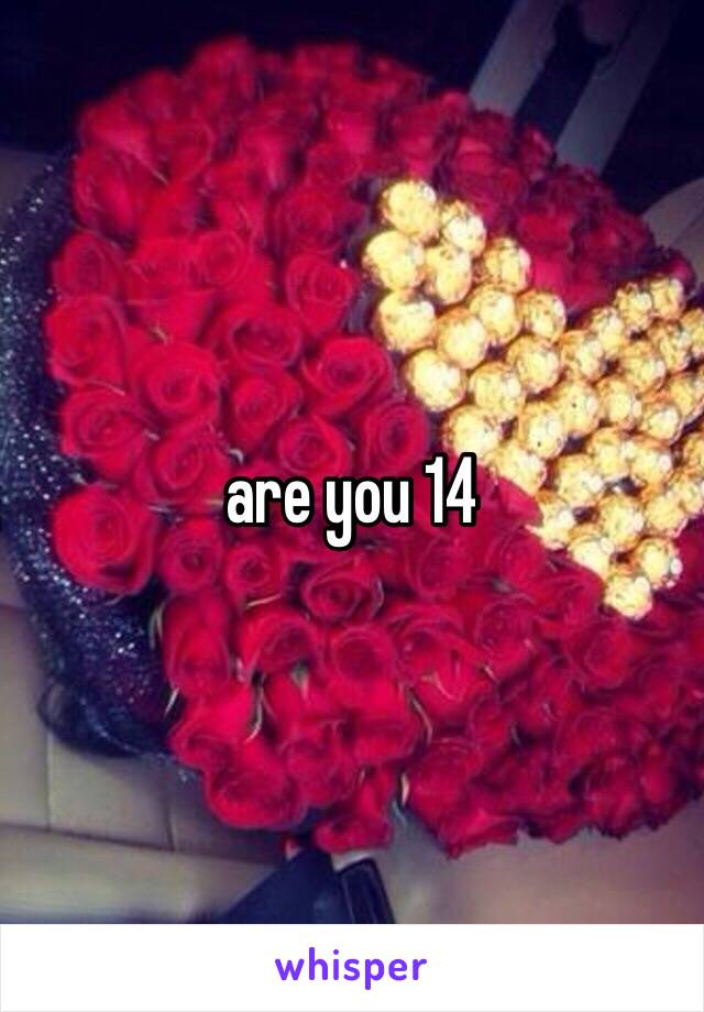 are you 14