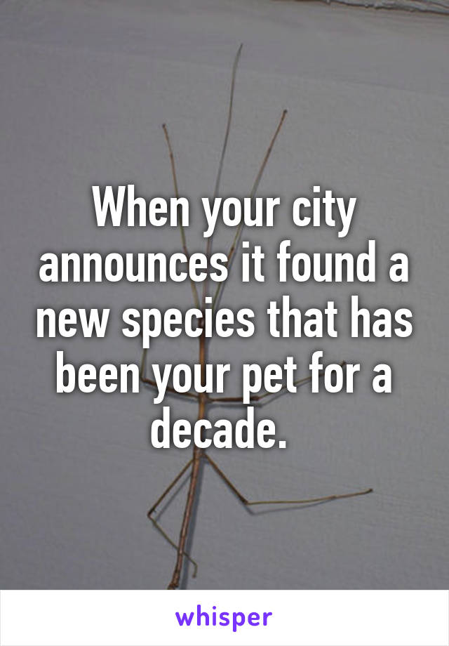 When your city announces it found a new species that has been your pet for a decade. 