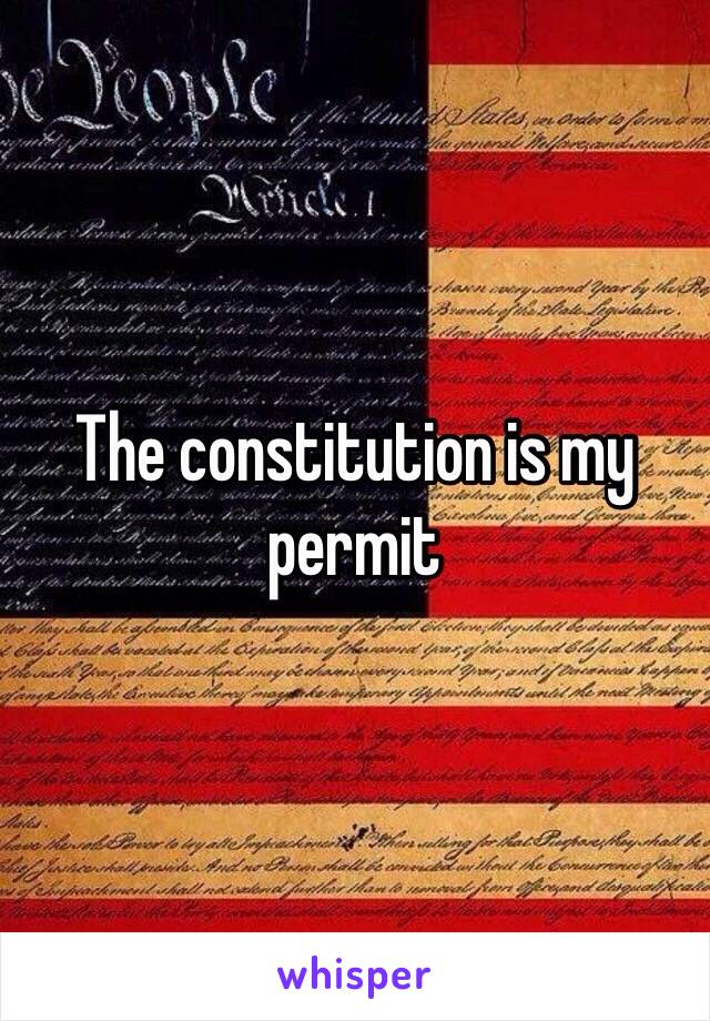 The constitution is my permit