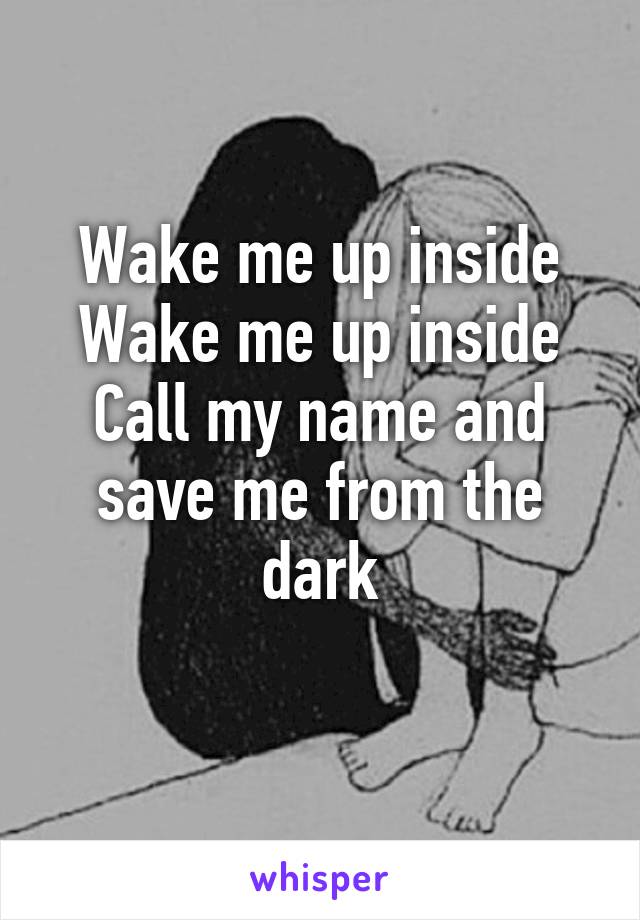 Wake me up inside
Wake me up inside
Call my name and save me from the dark
