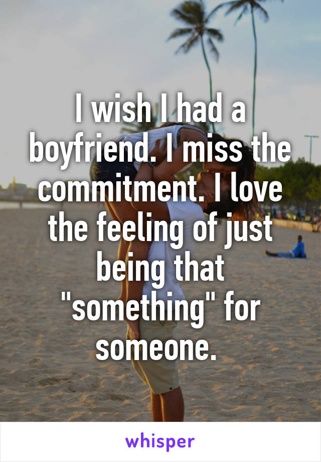 I wish I had a boyfriend. I miss the commitment. I love the feeling of just being that "something" for someone. 