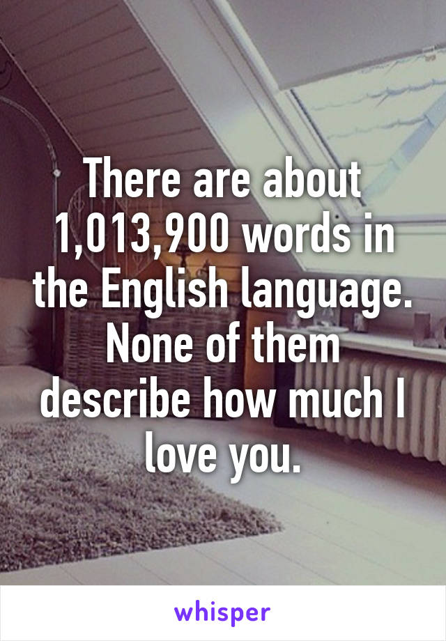 There are about 1,013,900 words in the English language. None of them describe how much I love you.