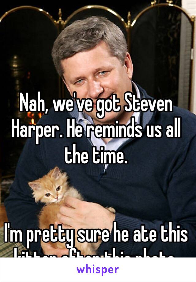 Nah, we've got Steven Harper. He reminds us all the time.


I'm pretty sure he ate this kitten after this photo.