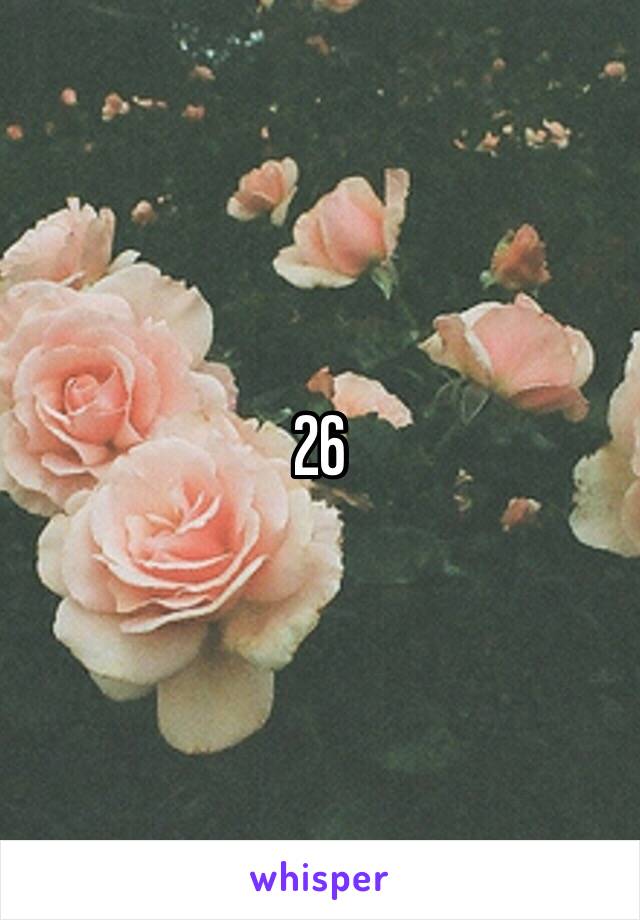 26