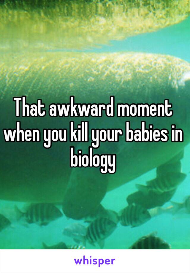 That awkward moment when you kill your babies in biology