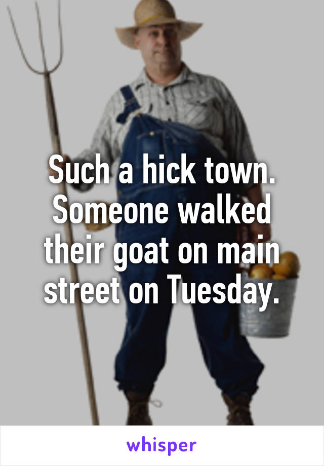 Such a hick town. Someone walked their goat on main street on Tuesday.