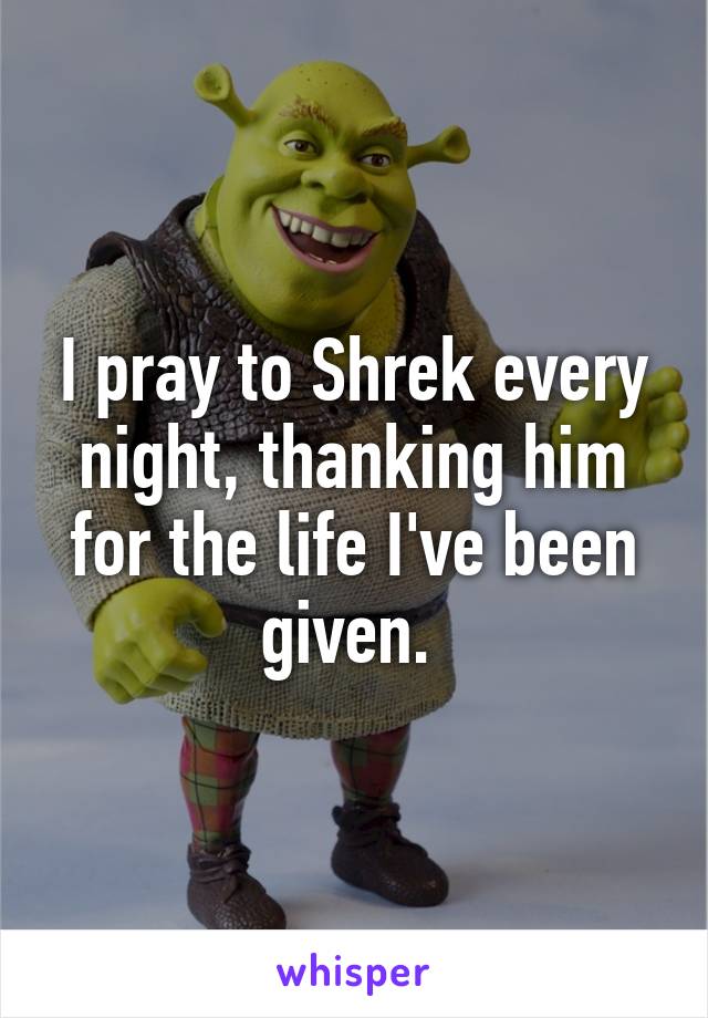 I pray to Shrek every night, thanking him for the life I've been given. 