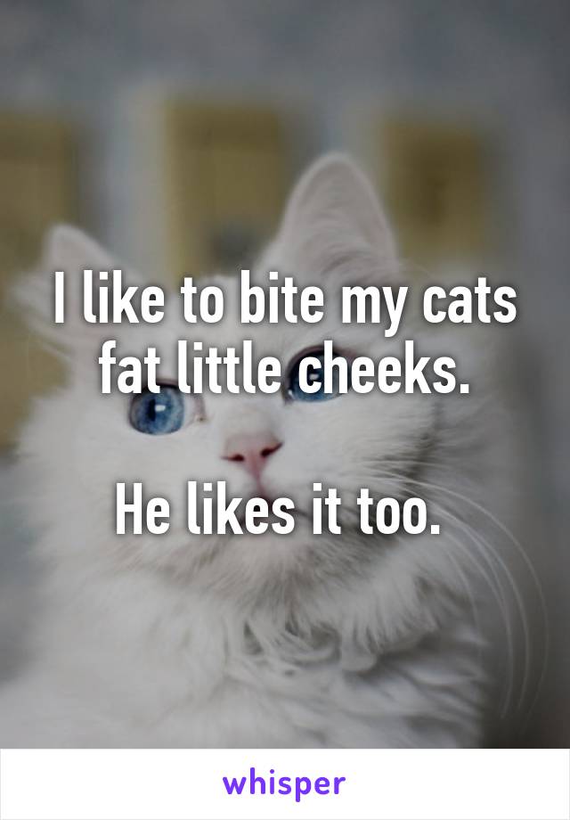 I like to bite my cats fat little cheeks.

He likes it too. 