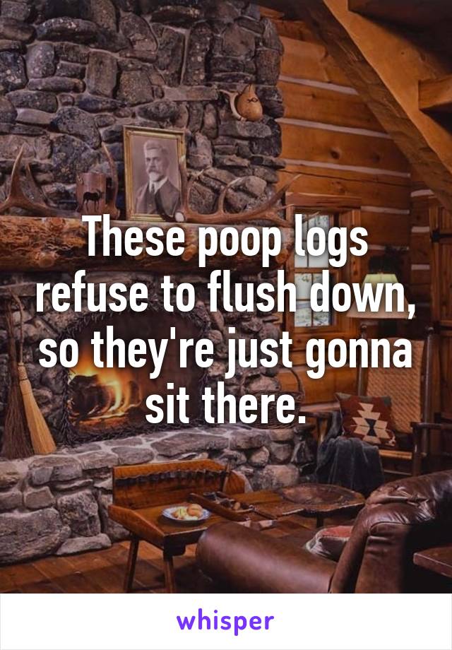 These poop logs refuse to flush down, so they're just gonna sit there.