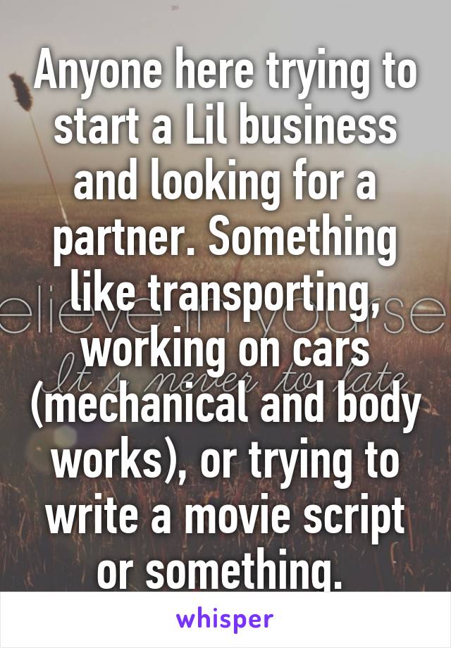 Anyone here trying to start a Lil business and looking for a partner. Something like transporting, working on cars (mechanical and body works), or trying to write a movie script or something. 