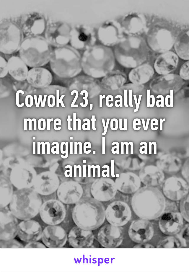 Cowok 23, really bad more that you ever imagine. I am an animal. 