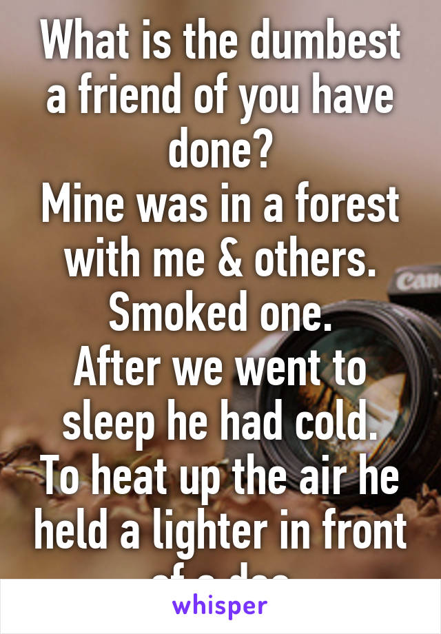 What is the dumbest a friend of you have done?
Mine was in a forest with me & others.
Smoked one.
After we went to sleep he had cold.
To heat up the air he held a lighter in front of a deo