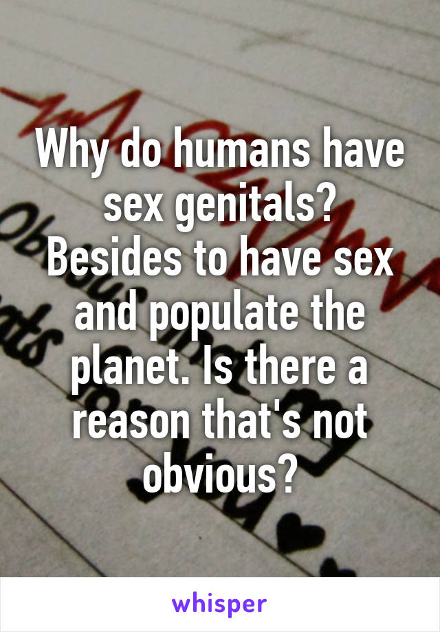 Why do humans have sex genitals?
Besides to have sex and populate the planet. Is there a reason that's not obvious?