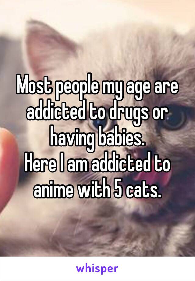 Most people my age are addicted to drugs or having babies. 
Here I am addicted to anime with 5 cats. 