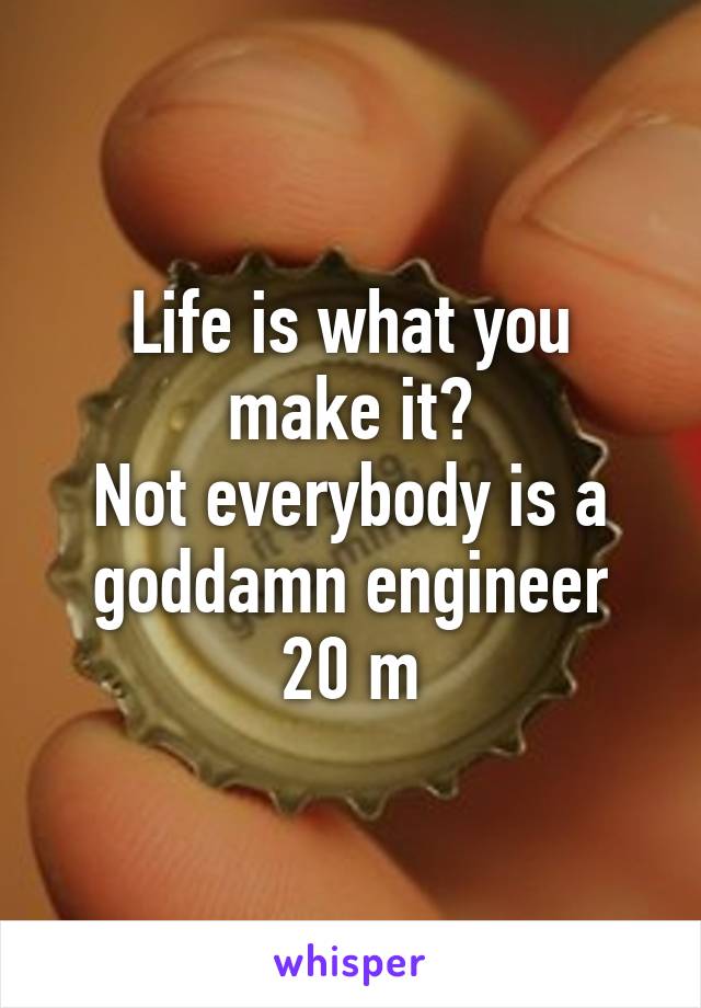 Life is what you make it?
Not everybody is a goddamn engineer
20 m