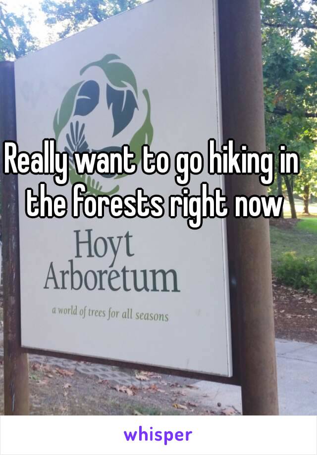 Really want to go hiking in the forests right now