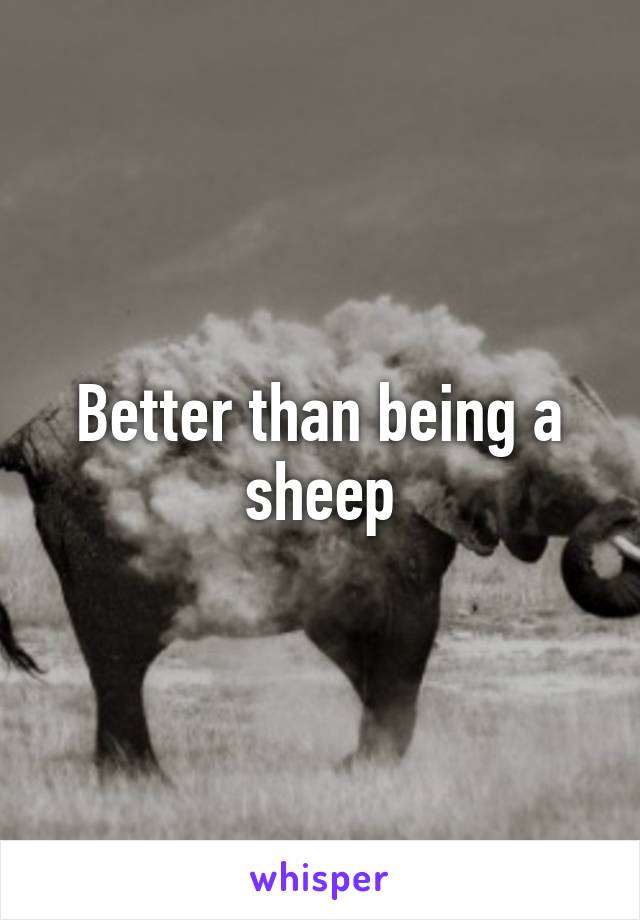 Better than being a sheep