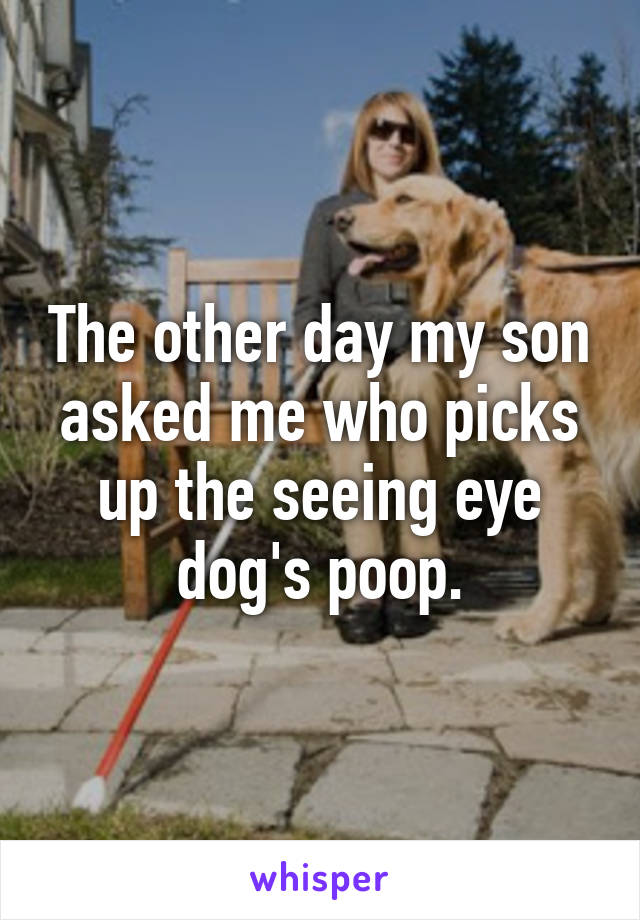 The other day my son asked me who picks up the seeing eye dog's poop.