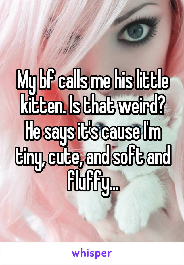 My bf calls me his little kitten. Is that weird? He says it's cause I'm tiny, cute, and soft and fluffy...
