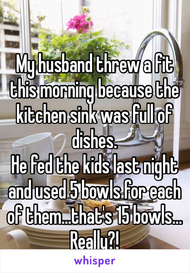 My husband threw a fit this morning because the kitchen sink was full of dishes.  
He fed the kids last night and used 5 bowls for each of them...that's 15 bowls... Really?! 