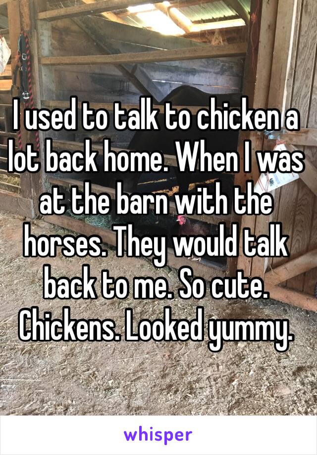 I used to talk to chicken a lot back home. When I was at the barn with the horses. They would talk back to me. So cute. Chickens. Looked yummy. 